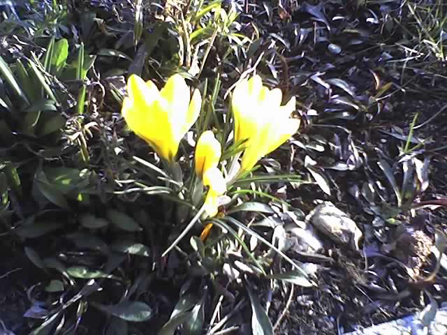23-02-08_1552.jpg
