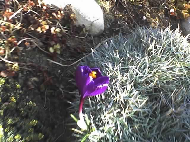 23-02-08_1553.jpg