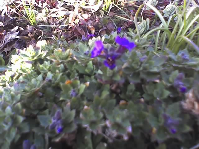 23-02-08_1555.jpg