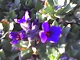 23-02-08_1556.jpg