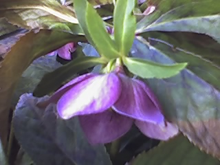 23-02-08_1557.jpg
