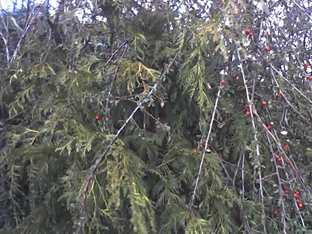 23-02-08_1601.jpg