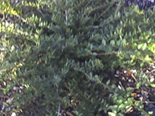 23-02-08_1618.jpg