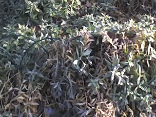 23-02-08_1623.jpg