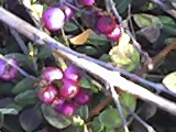 23-02-08_1620.jpg