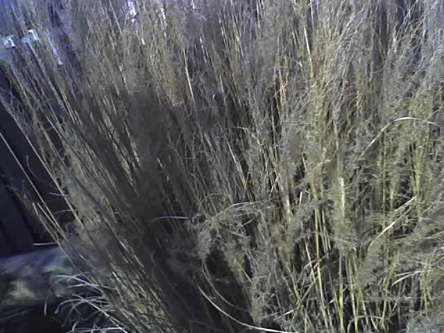 23-02-08_1606.jpg